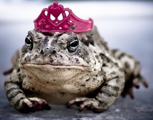 Charming Frog
